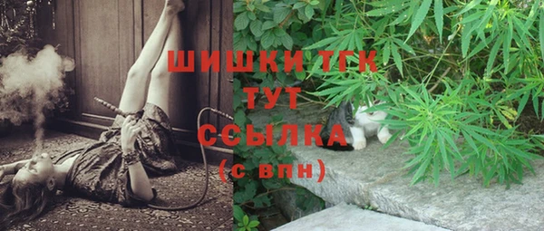PSILOCYBIN Аркадак