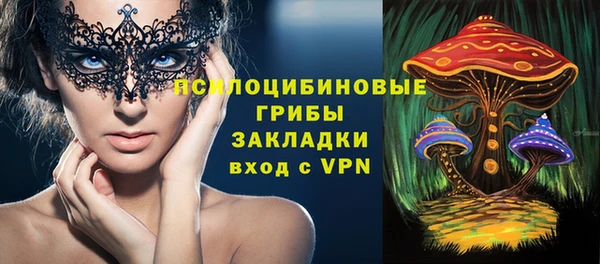 PSILOCYBIN Аркадак