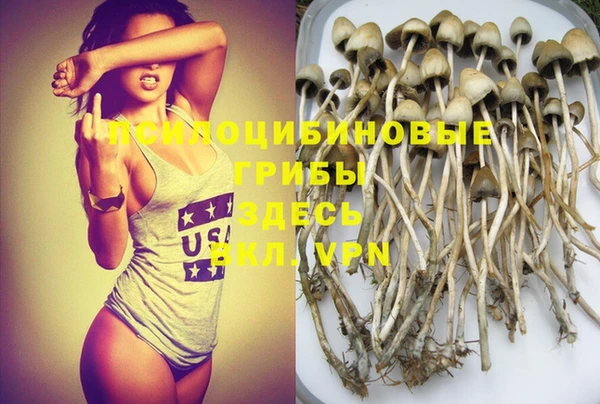 PSILOCYBIN Аркадак